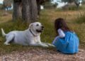 Unleash Your Protection: Expert Strategies for Defending Against Dog Attacks