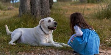 Unleash Your Protection: Expert Strategies for Defending Against Dog Attacks