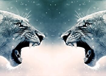 Unarmed but Unstoppable: The Art of Protecting Animals Without Weapons