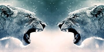 Unarmed but Unstoppable: The Art of Protecting Animals Without Weapons