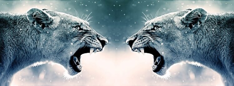 Unarmed but Unstoppable: The Art of Protecting Animals Without Weapons