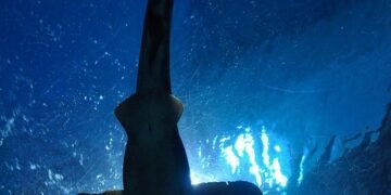 The Ultimate Guide to Surviving a Shark Attack: Mastering Defensive Techniques