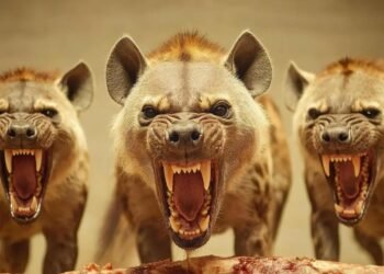 Survival Tactics: Mastering Self-Defense Against Nature’s Most Ferocious Predators